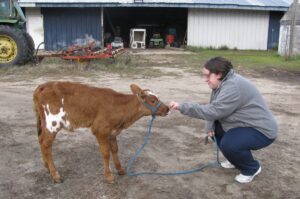 Emily Paskewitz squats down to pet a calf on her family's farm in Minnesota.